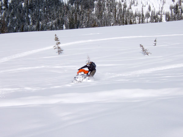 snowmobile tours