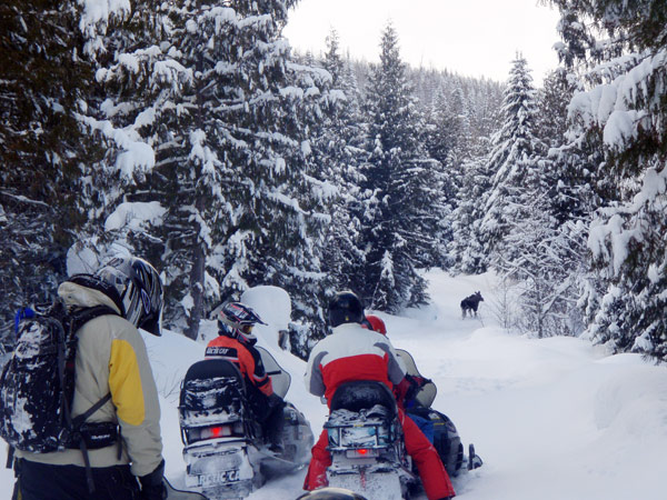 snowmobile tours